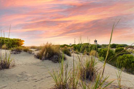 plage-grau-du-roi.jpg -
