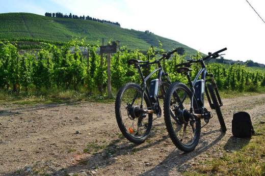 vttae-et-vigne.jpg -