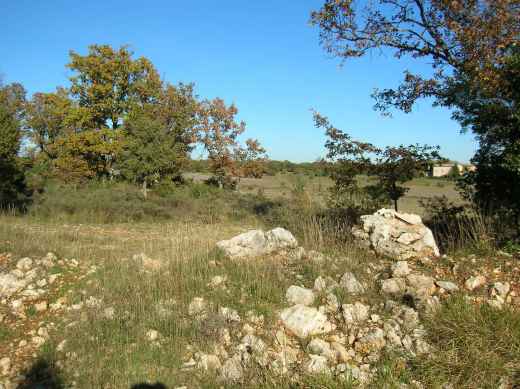 mejannes-le-clap-plateau-garrigue.jpg -